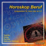 Berufsanalyse